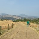 석포둘레길 공중화장실 | 제주 용눈이오름 반려견 동반, 둘레길 폐쇄 구간 확인하세요