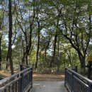 휘경2동주민센터 건너편 배봉산둘레길 입구 | [산책] 걷기 좋은 배봉산 둘레길 및 근린공원