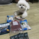 폴리파크태안점 | 폴리파크 태안점 24시 펫마트 반려동물 용품점 간식거리 내돈내산 후기!!