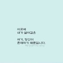 풀꽃향기 이미지