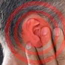 서대문연세이비인후과의원 이미지