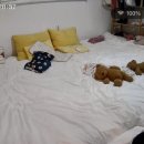 도르멍스테이 이미지