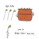 밥과찌개