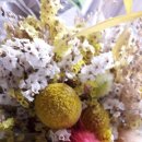 복중농장 이미지