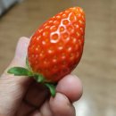 마음공부가 되는 타로 배우기 | "집에서 돈 버는 확실한 지름길! 마케팅 없이 4주 만에 끝내는 타로 수익화 비법"