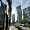 데시앙4층약국 이미지