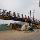 왜목마을관광지 이미지