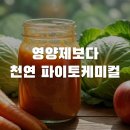한독섬유 | 영양제 대신 CCA 주스? 저속노화 식단 핵심 파이토케미컬 활용법