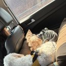 기북시장 이미지