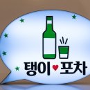모여라포차 이미지