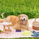 부천역사(주) 이미지