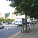 일광여객 이미지