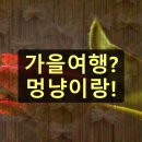 (상반기) 반려동물과 행복한 동행 : 펫티켓 | 가을 반려동물 동반 여행