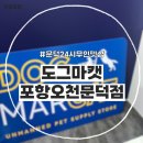 도그마캣포항