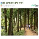 4월28(토)~29(일) 순천만국가정원,장흥우드랜드,두륜산 힐링여행 신청하세요. 이미지