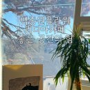 백종원플라워 리디아
