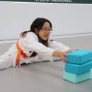 고성태권도 이미지