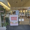 계룡산편백숲입구 | [동학사맛집] 편백숲 샤브길, 깔끔한 1인 샤브샤브로 계룡산맛집 등극! (ft. 동학사한식)