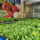 진안농협주유소 이미지