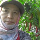 잃어버린 고향(장편소설)제3장;동창회(同窓會)제17회;김문수 원작 이미지