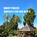 멜버른 왕립식물 빅토리아 로얄보타닉가든 정보 및 후기