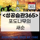 포도나무365 티스토리