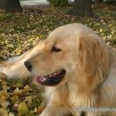 두아름농장 이미지