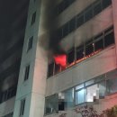 대구 아파트 화재로 5명 부상…&#34;김치냉장고 발화 추정&#34; 출처 : SBS 뉴스 이미지