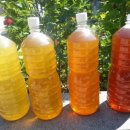 김동석농장 이미지