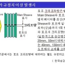 (주)현대엘리베이터공사