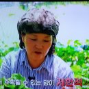 약초를사랑한 짱아줌마
