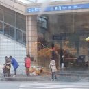 성모병원입구 이미지