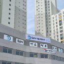 용인대 바른 태권도장 이미지