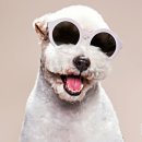 드림아이안경 이미지