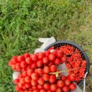 장수농원 이미지