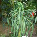 모리폴리 이미지