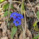 용담샘터 | 지리산(뱀사골, 화개재, 삼도봉 , 고리봉, 만복대, 정령치)