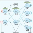 Chapter 6 : Transshipment Problem 복습 이미지