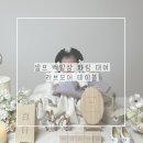 셀프 백일상 차림 대여 러브모어 테이블 코지데이 후기