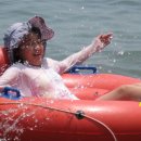 태광농장 이미지