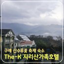 The 산수유 | 전남 구례 산수유꽃 축제 기간 숙박하기 좋은 가성비 호텔 The-K 지리산 가족호텔 숙박 후기(ft. 개화...