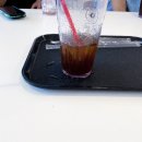 샬롬스터디