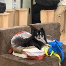 2호선 중동역 9번출구(E마트앞) | 캐치미 셀프사진관 홍대점 서울 애견동반 스튜디오