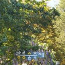 숲뒤1 이미지