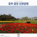 금강교옆 공원 이미지