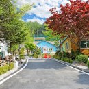 남이섬힐링캠핑장 이미지