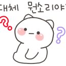 본투비헤어