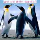 남산식당 이미지