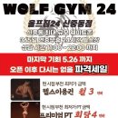 울프짐24 이미지