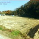 대추밭골 네이버블로그